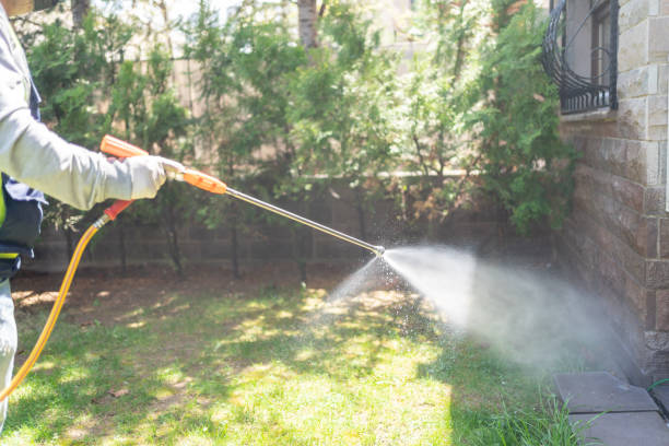 Best Mosquito Control  in Mexico Beach, FL